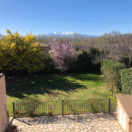 Au Mimosa -Gite Le Canigou Passa Екстериор снимка